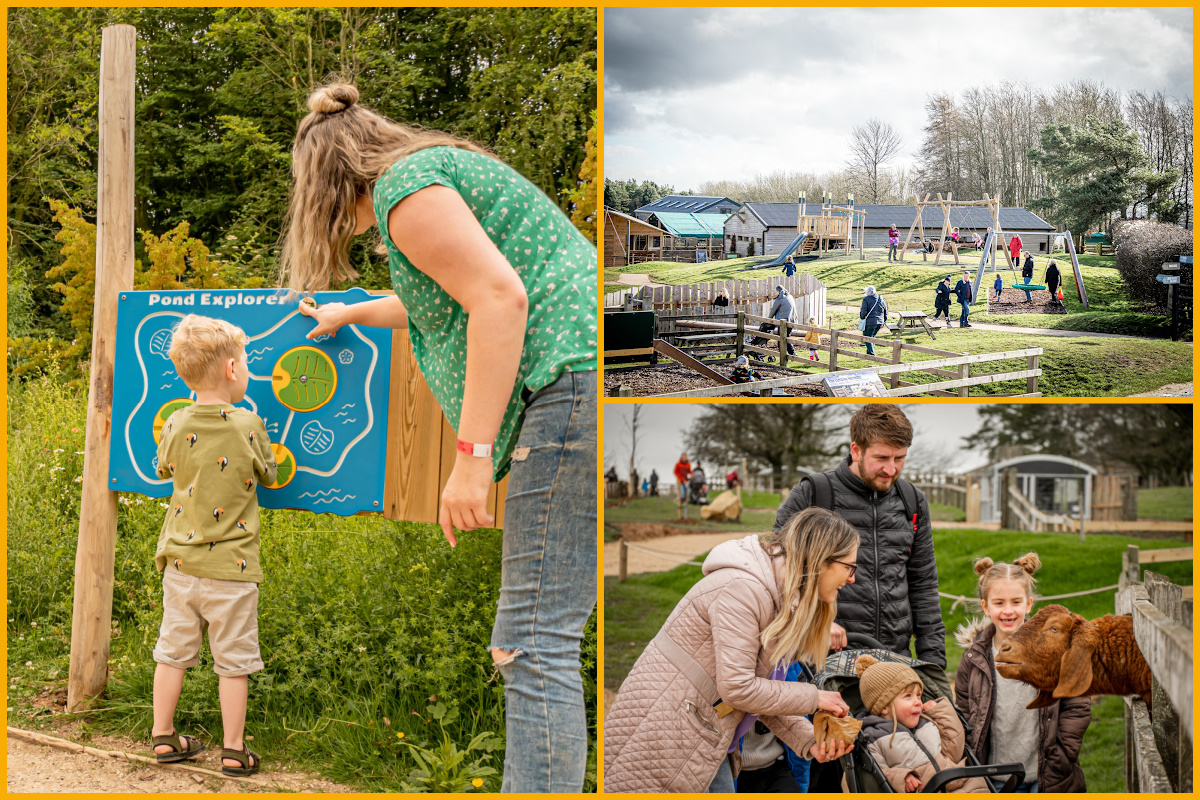 Activities at Cotswold Farm Park including trails, play areas and bottle feeding animals.